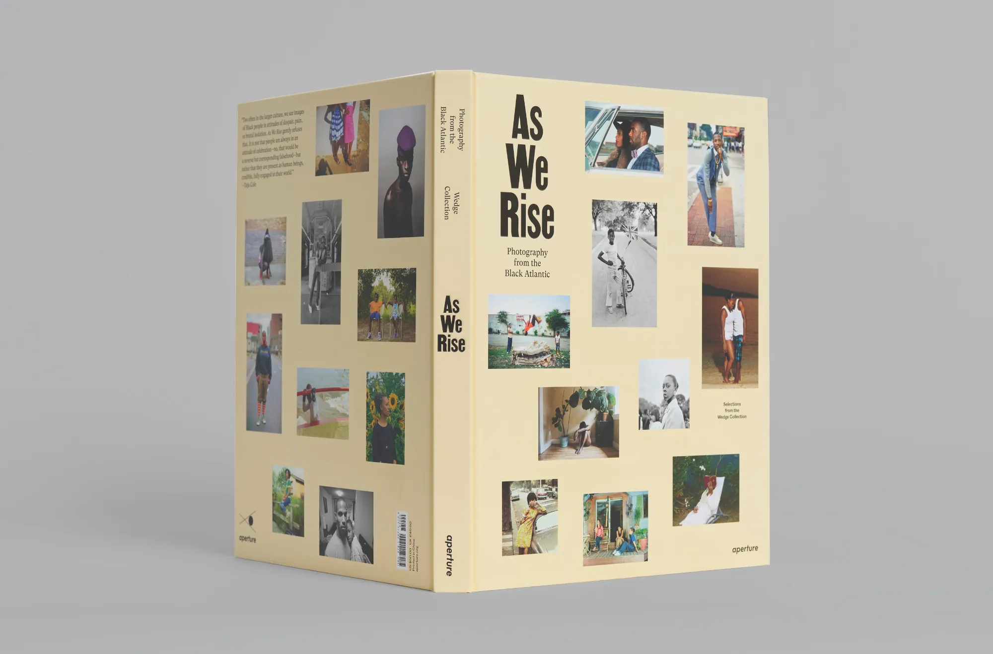 As We Rise Book Design by Jeanette Abbink As We Rise Book Design by Jeanette Abbink