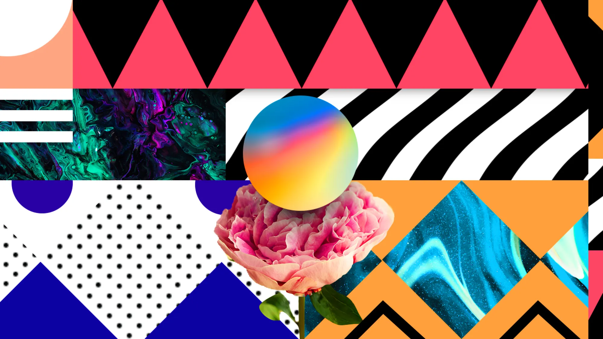Artwork by Maxime Manga abstract artwork including different patterns with a large pink carnation and multicolored sphere in the center