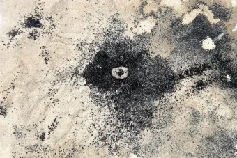 Currents affairs Jiabao Li Squid Map 2022 video installation courtesy Jiabao Li