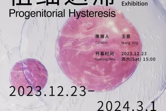 Promotional poster for exhibition Progenitorial Hysteresis by Design Assistant Professor Jiabao Li on view at Duende Art Museum in China
