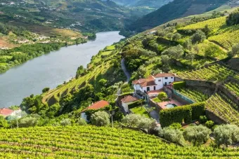 An aerial view of a winding river cutting through lush, terraced vineyards and rolling green hills. A white villa with red-tiled roofs sits among the vines, overlooking the valley, suggesting an international landscape connected to global research and collaboration.