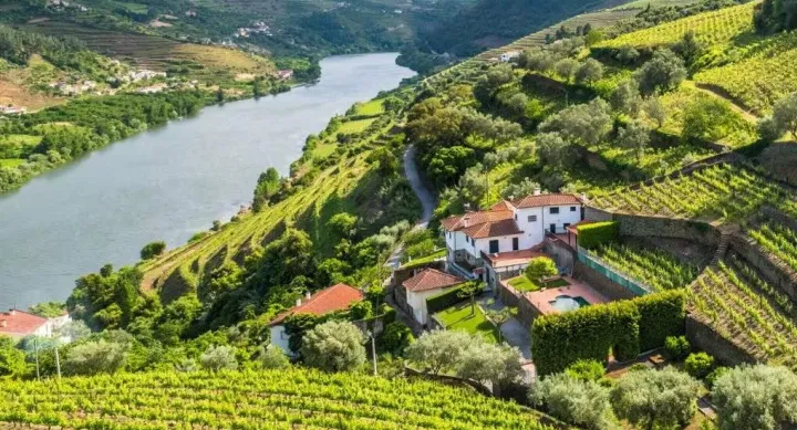 An aerial view of a winding river cutting through lush, terraced vineyards and rolling green hills. A white villa with red-tiled roofs sits among the vines, overlooking the valley, suggesting an international landscape connected to global research and collaboration.