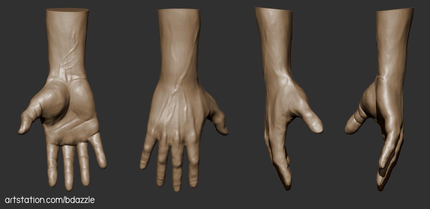 3D sculpted hand from multiple points of view by Britney Luong