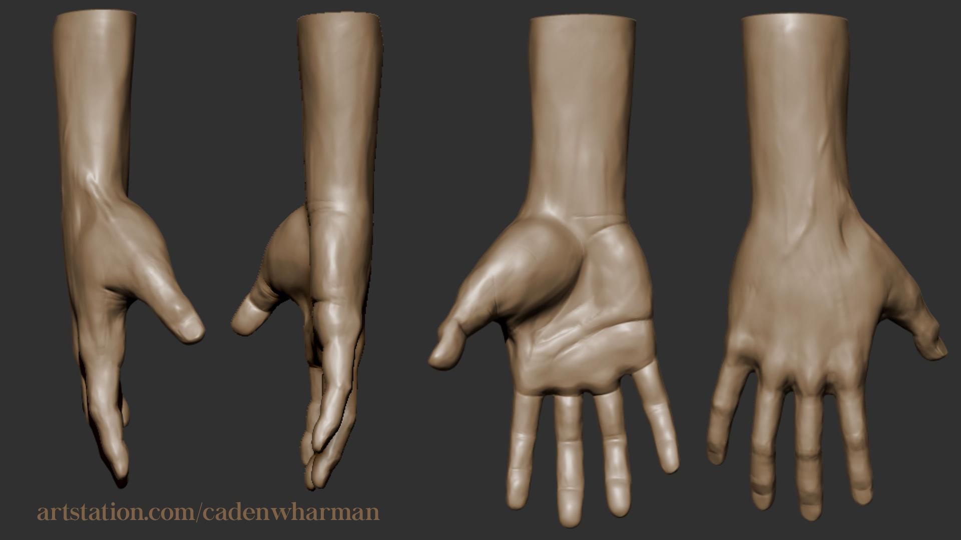 3D sculpted hand from multiple points of view by Caden Harman