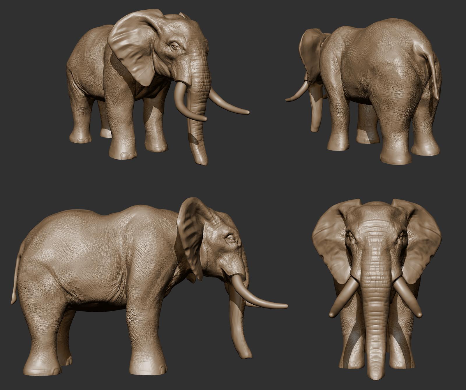 3D sculpted elephant from multiple points of view by Mariana Rios