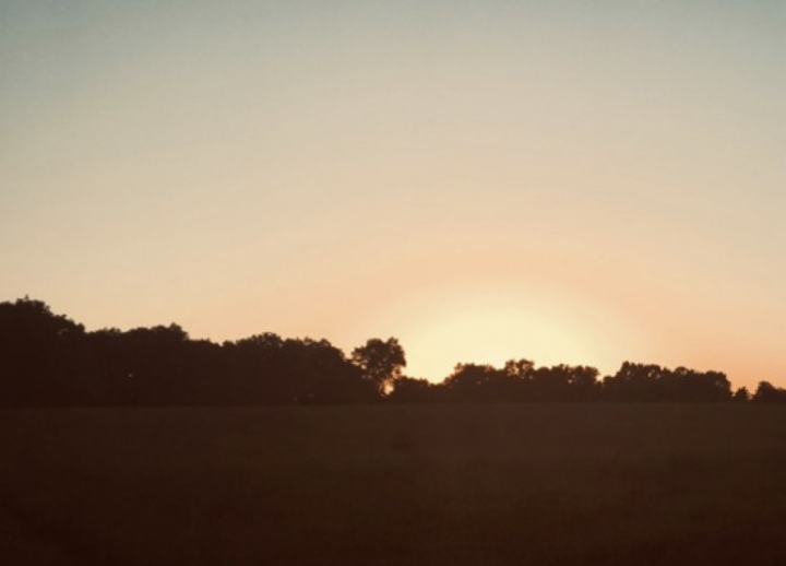 picture of sun setting over a silhouetted tree line