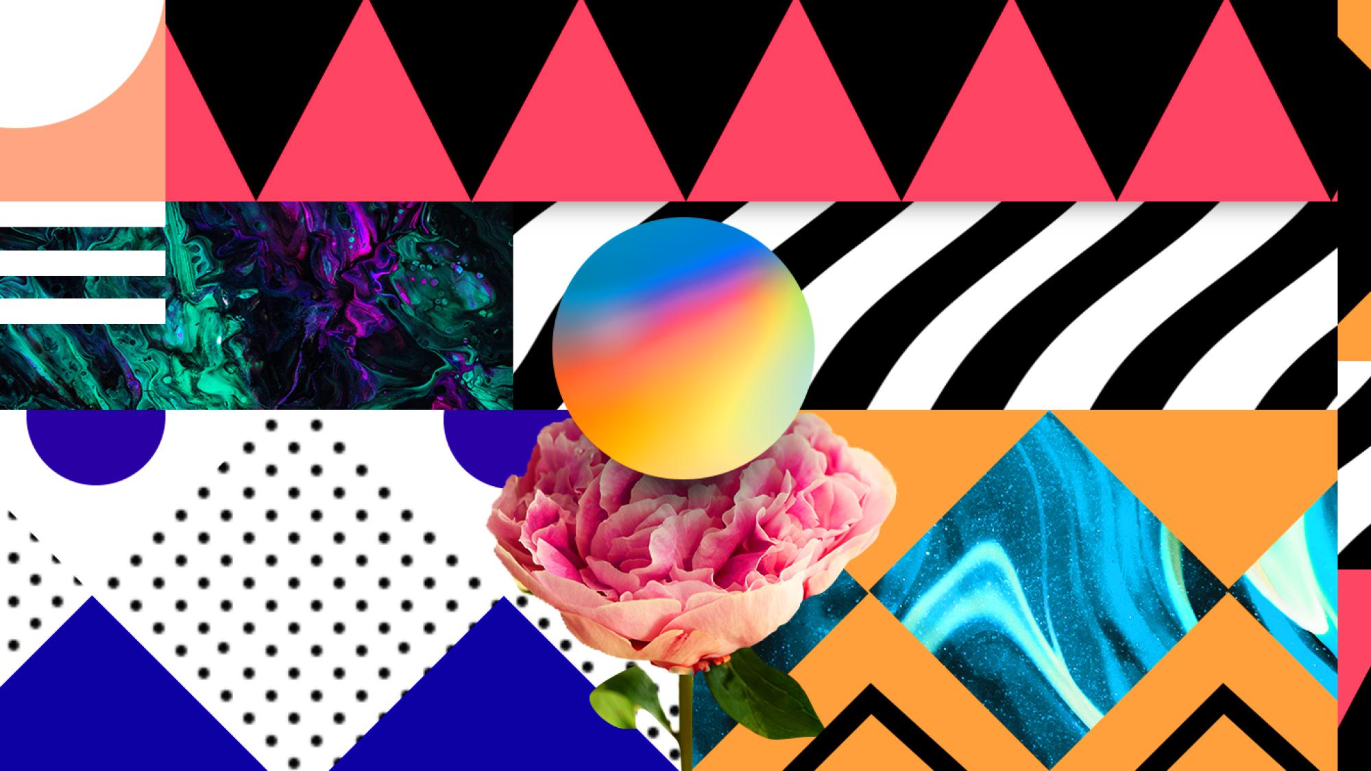 Artwork by Maxime Manga abstract artwork including different patterns with a large pink carnation and multicolored sphere in the center