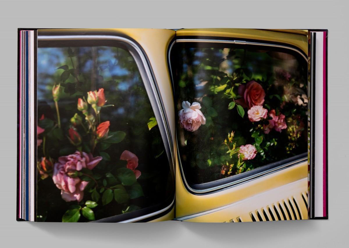 Full-color photo spread of taxi filled with roses by Cig Harvey for Blue Violet