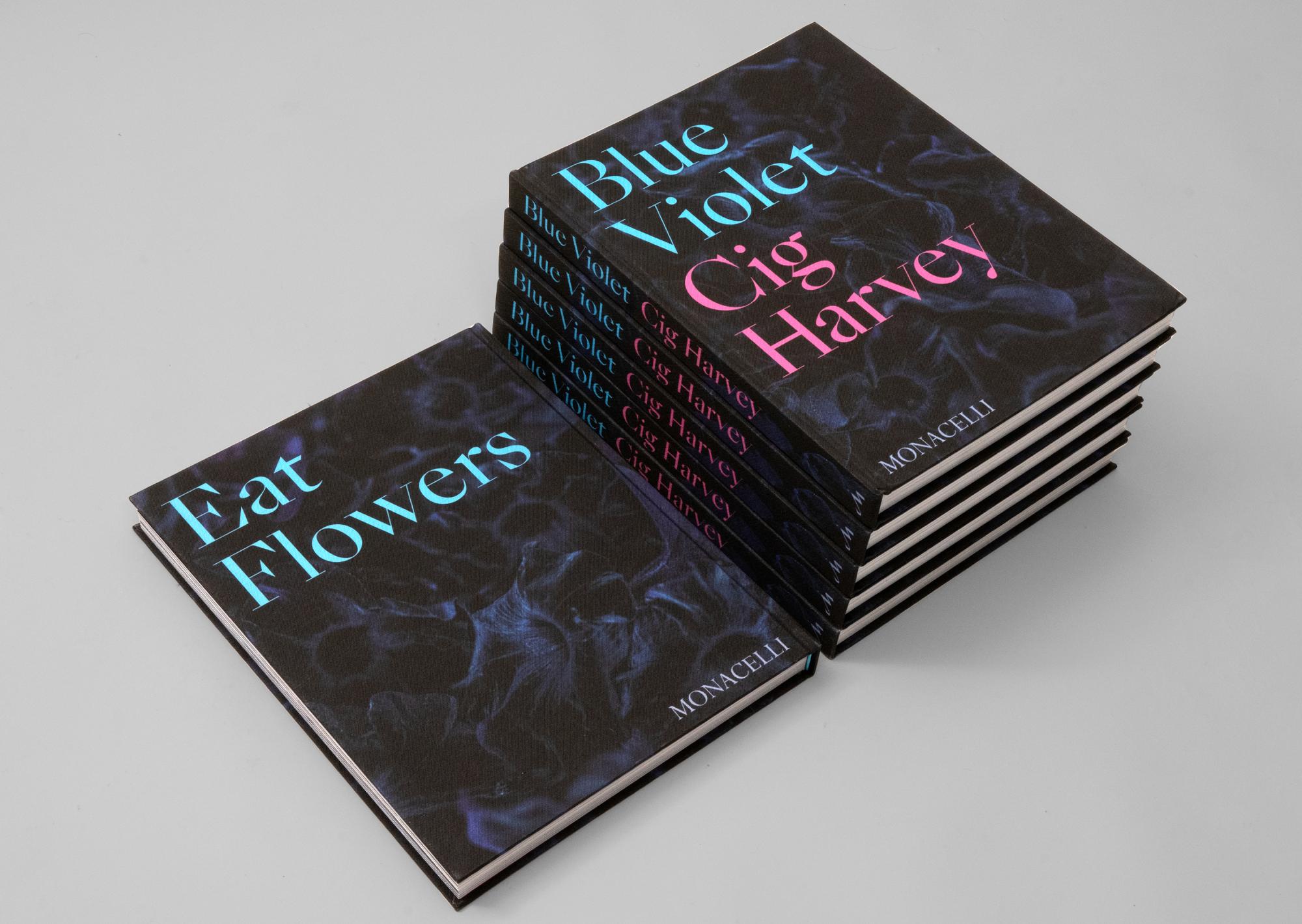 Photo of stack of copies of Blue Violet by Cig Harvey, designed by Professor Jeanette Abbink