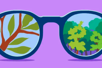 Illustration by Arotin Hartounian of trees being seen through the lenses of eyeglasses