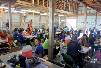 many volunteers in blue, red, and green shirts sitting at tables in an open barn operating as a clinic.