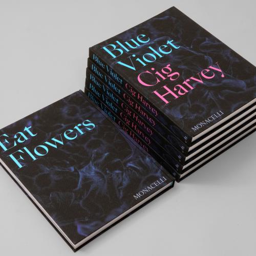 Photo of stack of copies of Blue Violet by Cig Harvey, designed by Professor Jeanette Abbink