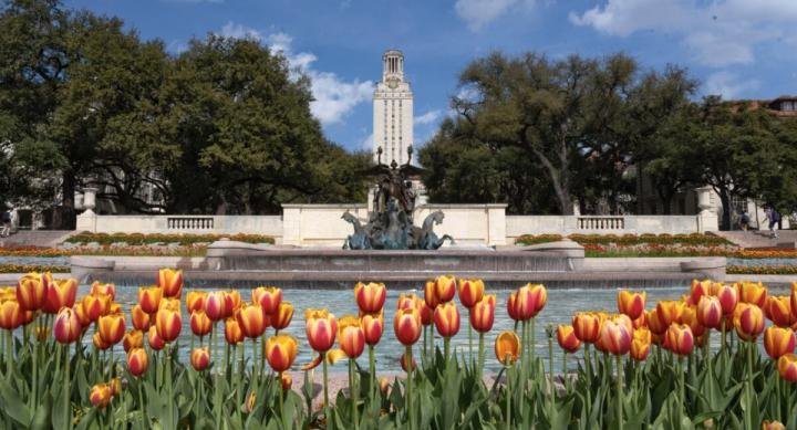 Tower and Littlefield Fountain with tulips 2023