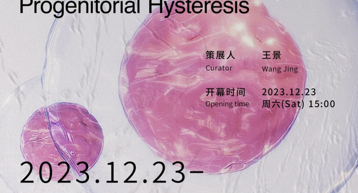 Promotional poster for exhibition Progenitorial Hysteresis by Design Assistant Professor Jiabao Li on view at Duende Art Museum in China